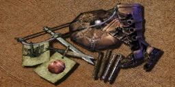 Klasa Skrytobójca (Morrowind)