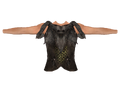 Savior's Hide (Oblivion)
