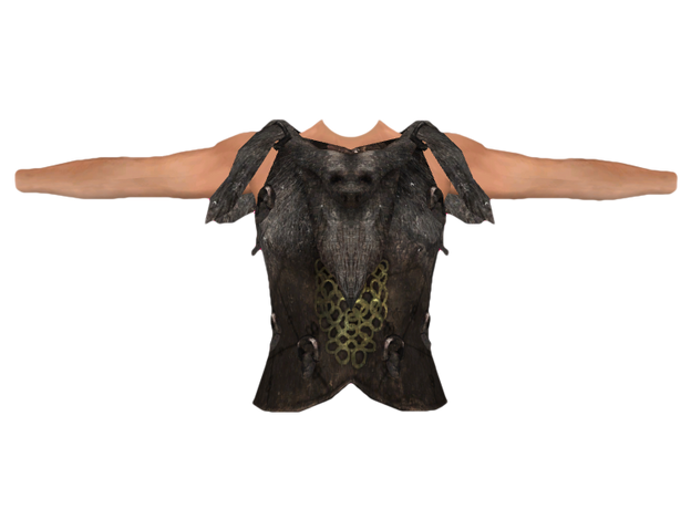 File:Savior's Hide (Oblivion).png