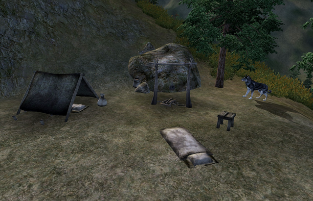 File:Valley View Camp.png