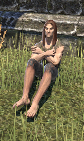 File:Brenor Ever-Festering.png