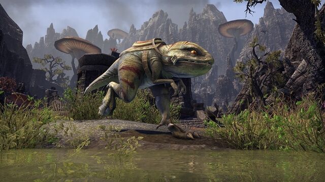 File:Golden Eye Guar ESO.jpg