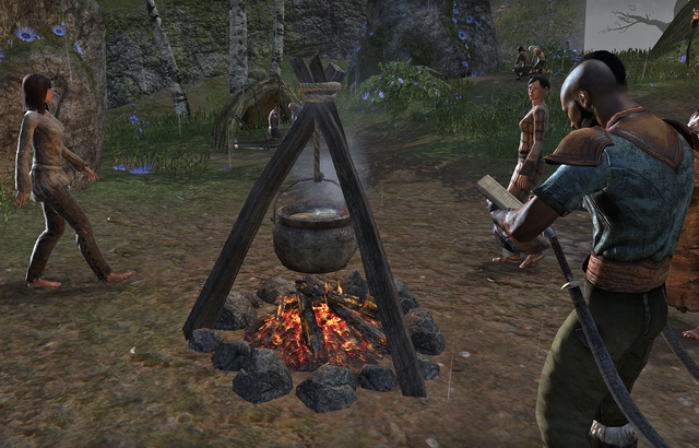 File:Cooking Fire.png