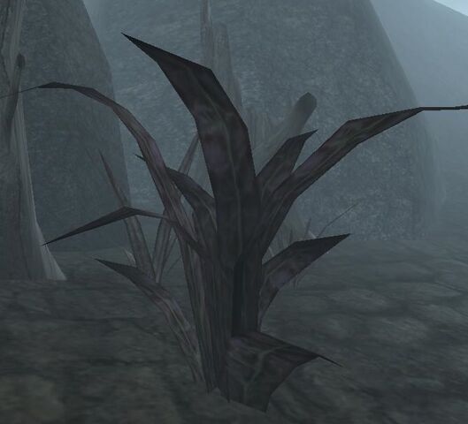 File:Scathecraw (Morrowind).jpg