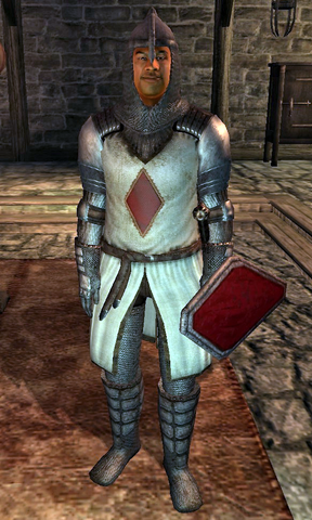 File:Sir Thedret Knight.png