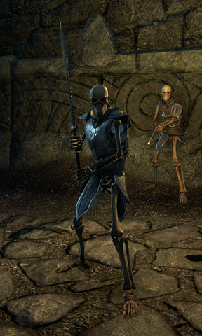 File:Skeletal Blademaster.png