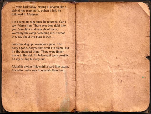 File:Ralion's Journal, Day 147.png