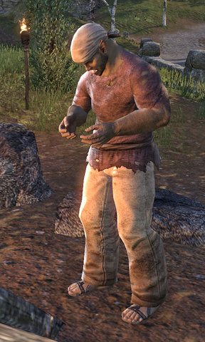File:Golbag.png