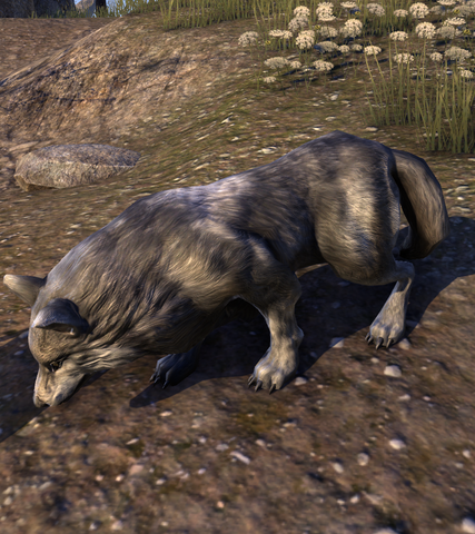 File:Ice (Dog).png