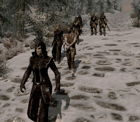 File:Thalmor Justiciar.jpg