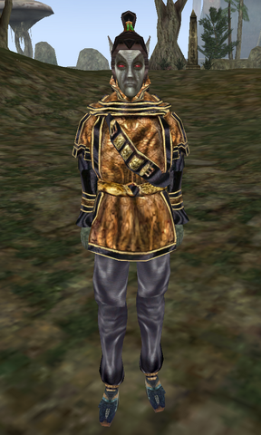 File:Tarvyn Faren.png