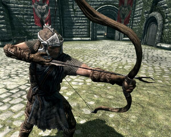 File:Solitude Stormcloak Guard.jpg