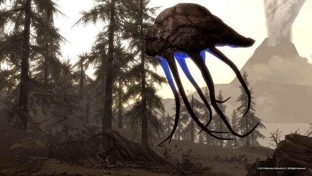 File:Dragonborn Screenshots 6.jpg