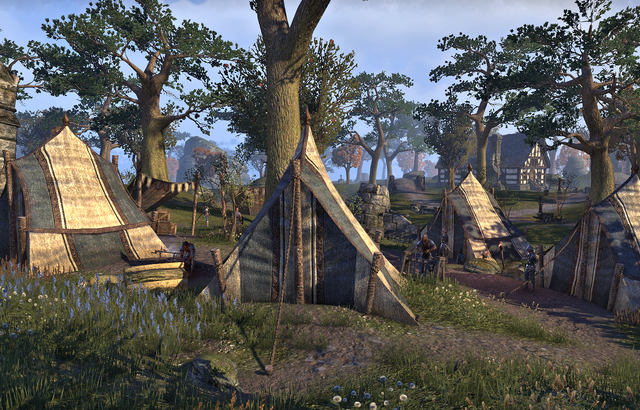 File:Alik'r Camp (Stormhaven).png