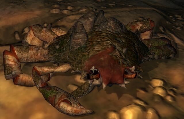 File:King mud crab.jpg