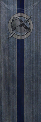 File:TESIV Banner Arena Blue.png
