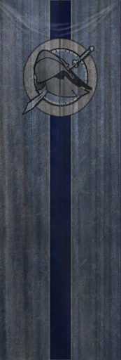 TESIV Banner Arena Blue