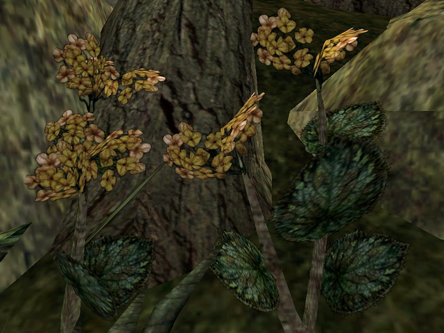 File:Gold Kanet.png