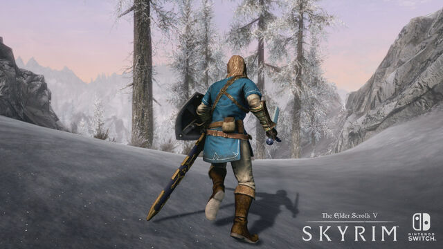 File:SkyrimSwitch Outfit.jpg