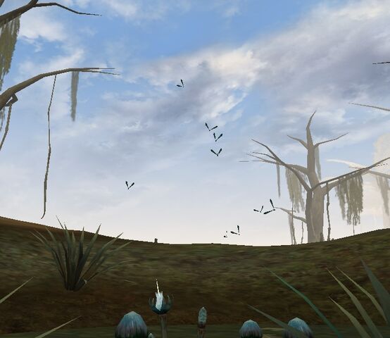 File:Dragonflies.jpg