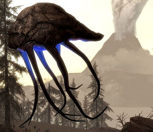 Skyrim (42).jpg