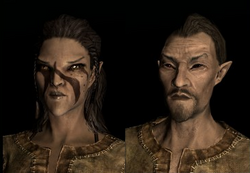 Bosmer a2&d3.png