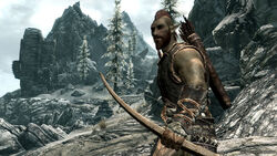 Bosmer.jpg