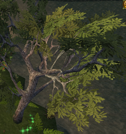 LithistleTree