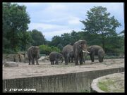 Tierpark Berlin5.jpg