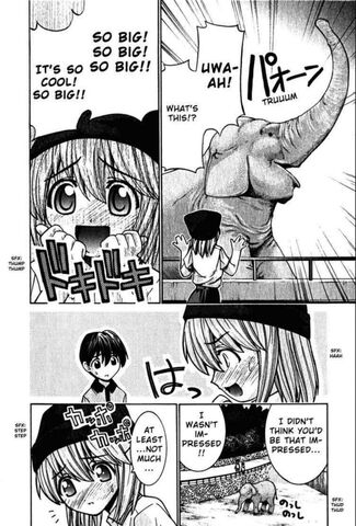 File:Elephant wow bigbigbig.jpg