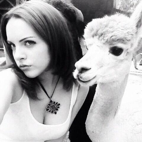File:Liz and Llama.jpg