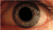 Eye dilate