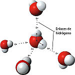 Molecula del agua.jpg