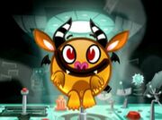 Chui