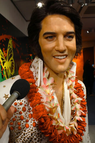 File:Elvis Wax figure.jpg