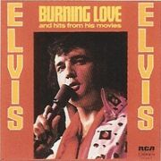 BurningLoveandhitsfromhismovies.jpg