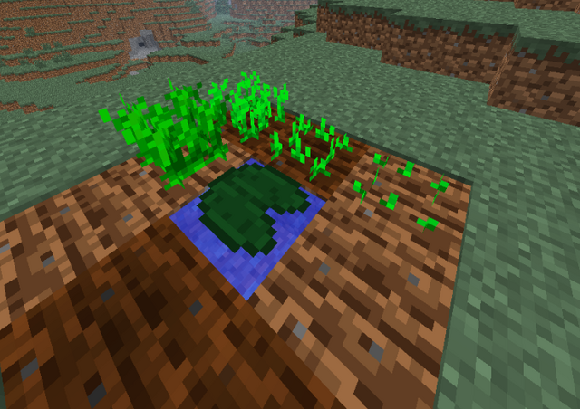 File:Plant.png