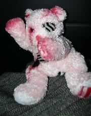 Suffer the Bear