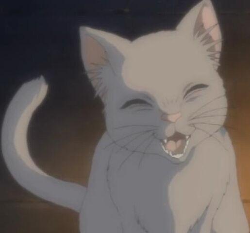 File:CatSmile.jpg