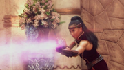 Pirena20163
