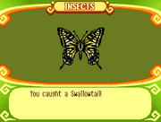 Swallowtail