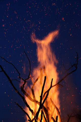 Archivo:FIRED! (CC).jpg