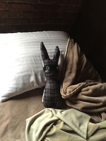 File:Home-bunny.jpg