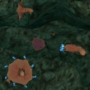 EO2VampireSquid