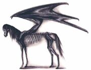 Thestral.jpg