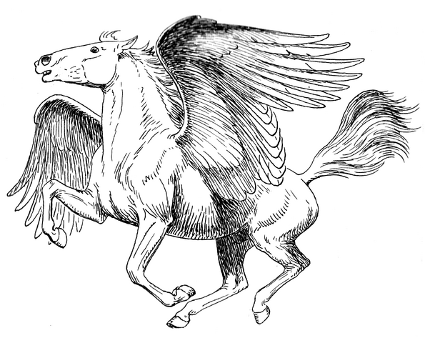 Datei:Pegasus.png