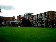 AIIMS central lawn