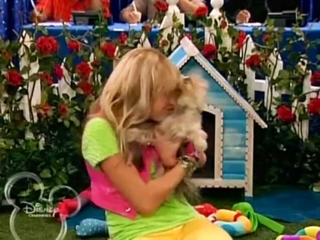 File:MileyBlowNoseRadioStarFeelings.jpeg