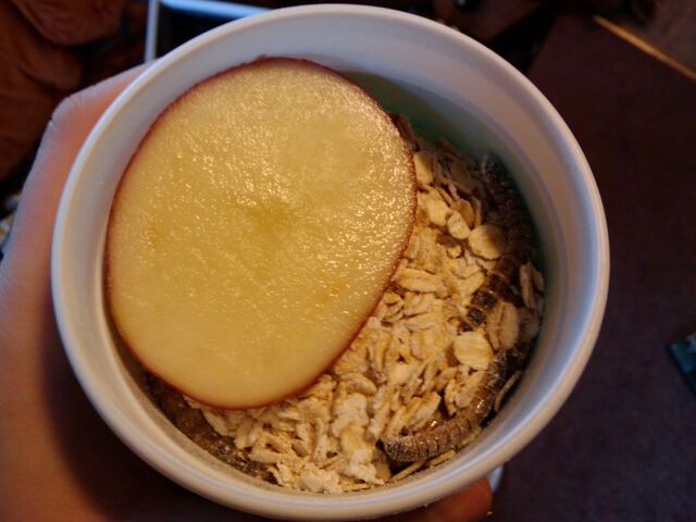File:20100114110921.jpg