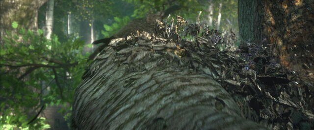 File:Epic-movie-screencaps.com-2815.jpg